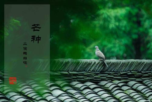 二.jpg 二.jpg
