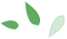 0 (1).png