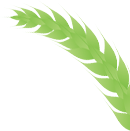 0 (1).png