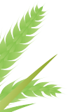 0.png