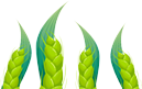 640 (1).png