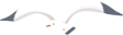 640.png